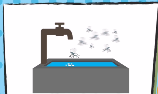 SIN ZANCUDOS, NO HAY DENGUE